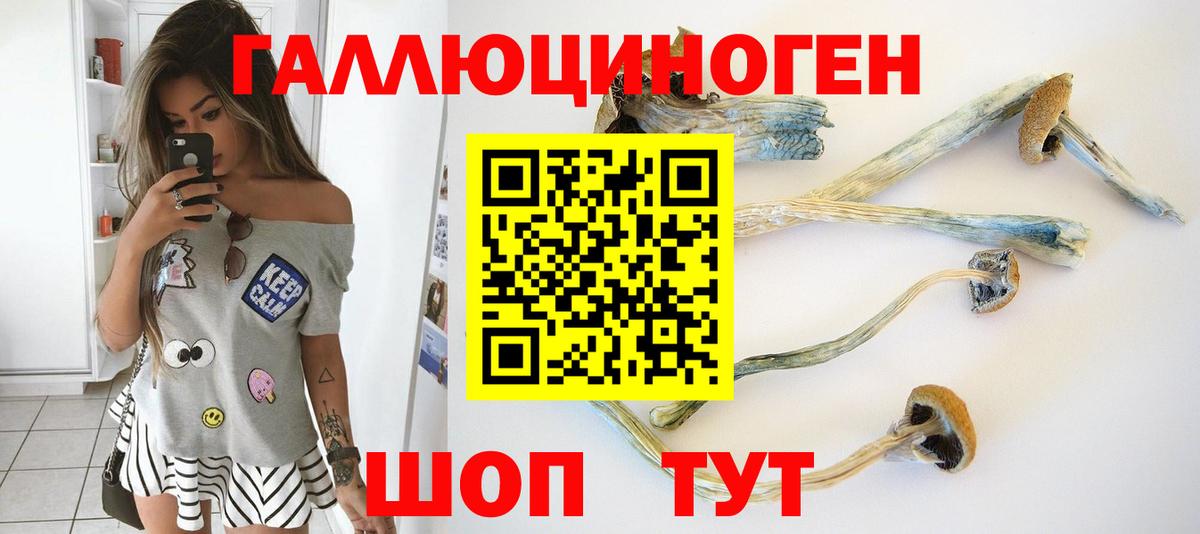 Галлюциногенные грибы Psilocybe Астрахань
