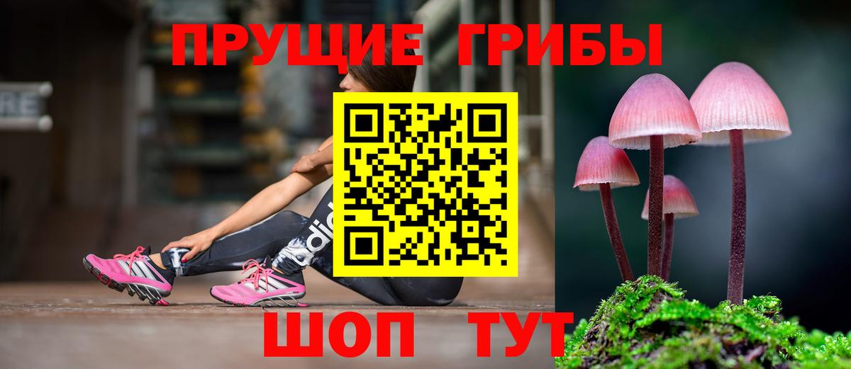 как найти закладки  Галлюциногенные грибы Cubensis  Вход с VPN  Астрахань  Галлюциногенные грибы Psilocybine cubensis 